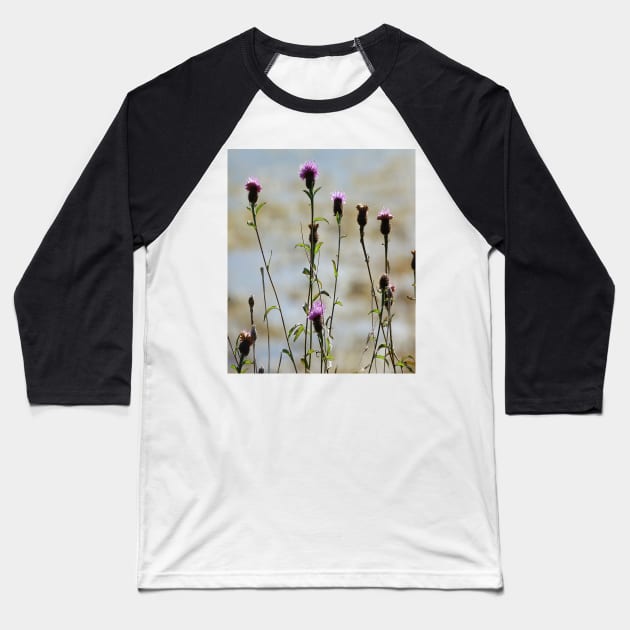 A highland thistle Baseball T-Shirt by Madeinthehighlands